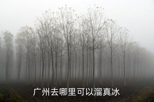 廣州去哪里可以溜真冰