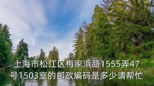 上海市松江區梅家浜路1555弄47號1503室的郵政編碼是多少請幫忙