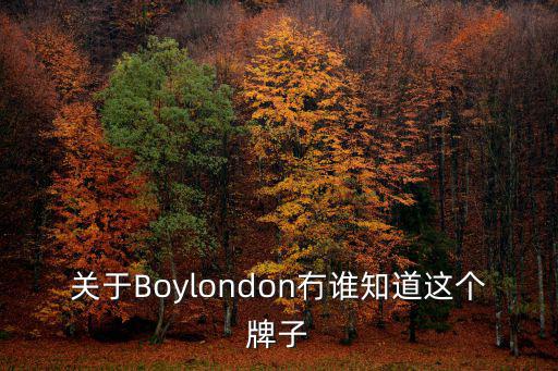 關于Boylondon冇誰知道這個牌子