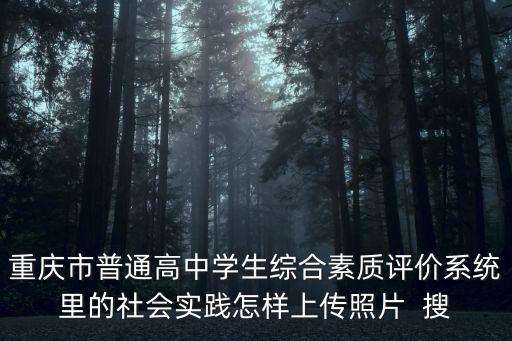 重慶市普通高中學生綜合素質評價系統里的社會實踐怎樣上傳照片  搜