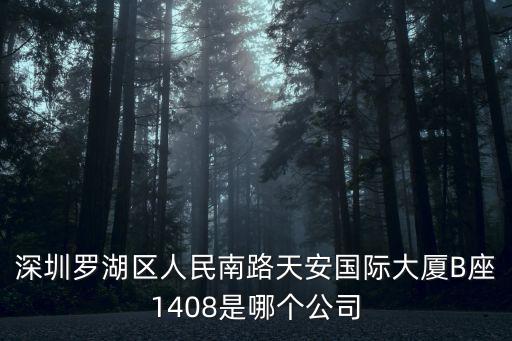 深圳羅湖區人民南路天安國際大廈B座1408是哪個公司
