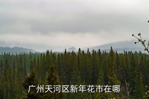 廣州 過年 花市，廣州天河區新年花市在哪