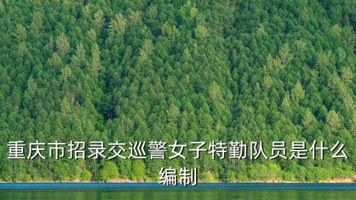 重慶市交通局特勤總隊，特勤支隊勤務三大隊在哪里