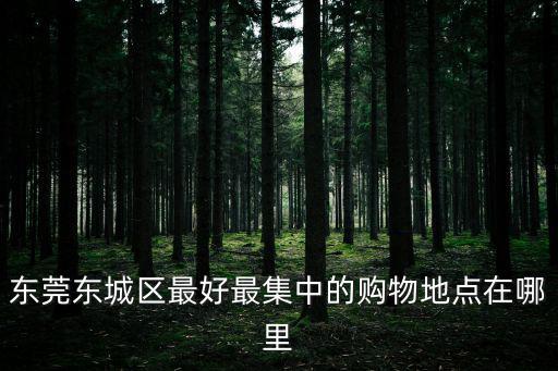 東莞東城區最好最集中的購物地點在哪里