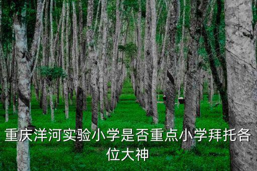 重慶市首批重點小學，重慶洋河實驗小學是否重點小學拜托各位大神