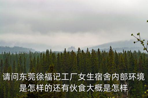請(qǐng)問(wèn)東莞徐福記工廠女生宿舍內(nèi)部環(huán)境是怎樣的還有伙食大概是怎樣