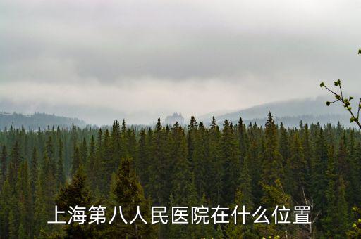 上海第八人民醫院在什么位置