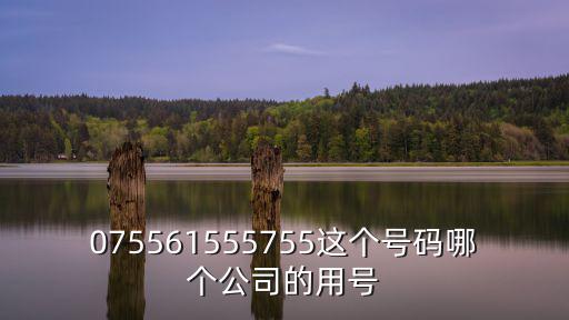 075561555755這個號碼哪個公司的用號