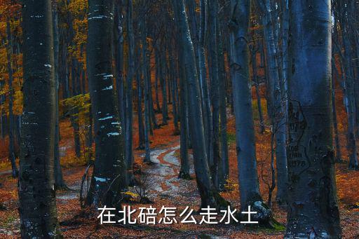 在北碚怎么走水土
