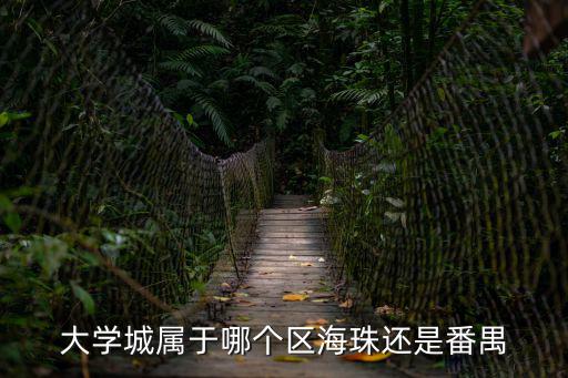大學城屬于哪個區海珠還是番禺