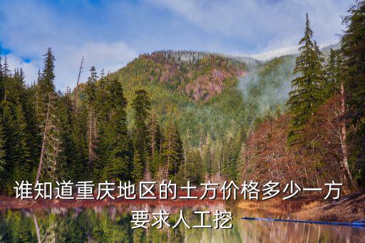 誰知道重慶地區(qū)的土方價格多少一方 要求人工挖