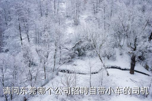 請問東莞哪個公司招聘自帶小車的司機