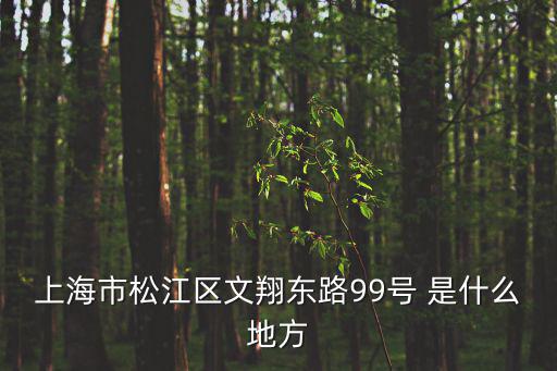 上海市松江區(qū)文翔東路99號(hào) 是什么地方
