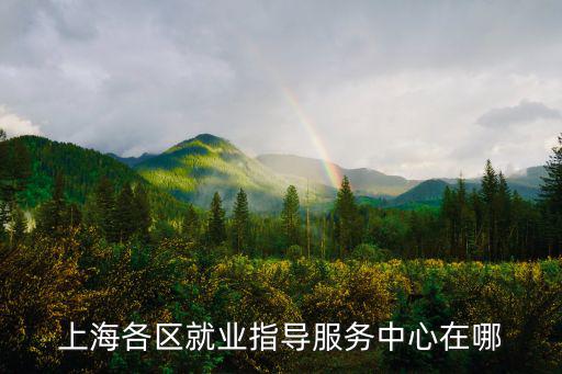 上海各區(qū)就業(yè)指導(dǎo)服務(wù)中心在哪