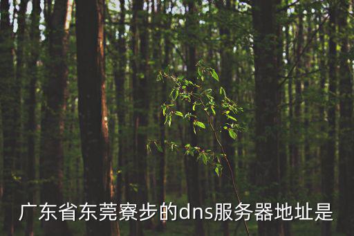 廣東省東莞寮步的dns服務器地址是