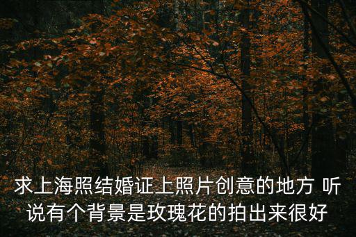 求上海照結婚證上照片創意的地方 聽說有個背景是玫瑰花的拍出來很好