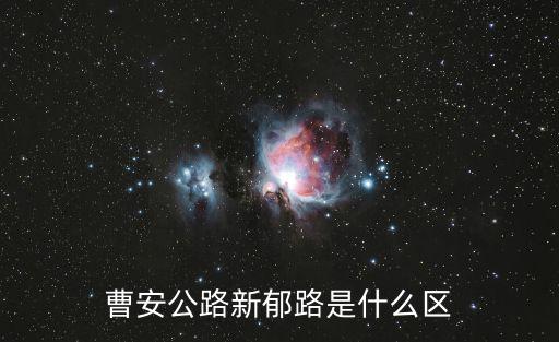 曹安公路新郁路是什么區