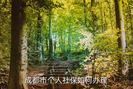 成都市個人社保如何辦理