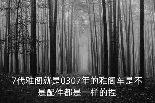 廣州本田雅閣7代配件，7代雅閣就是0307年的雅閣車是不是配件都是一樣的捏