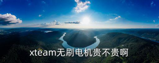 xteam無刷電機貴不貴啊