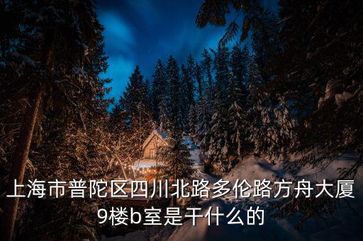 上海市普陀區四川北路多倫路方舟大廈9樓b室是干什么的