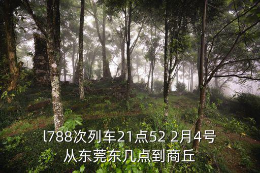 l788次列車21點52 2月4號從東莞東幾點到商丘