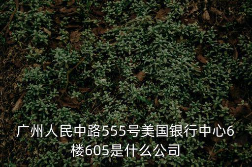 廣州微婭鋒貿(mào)易有限公司，廣州人民中路555號美國銀行中心6樓605是什么公司