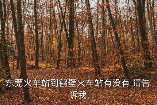 東莞火車站到鶴壁火車站有沒有 請告訴我
