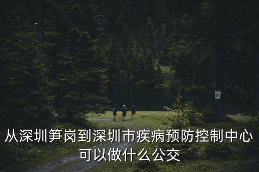 從深圳筍崗到深圳市疾病預(yù)防控制中心可以做什么公交