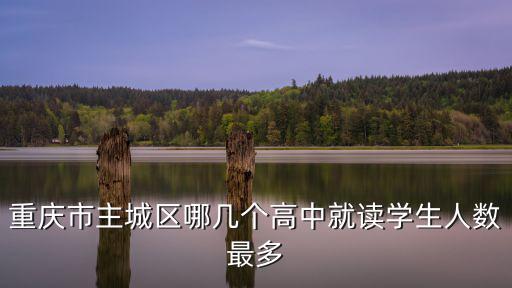 重慶市城區升學率，重慶市主城區哪幾個高中就讀學生人數最多
