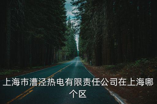 上海市漕涇熱電有限責任公司在上海哪個區