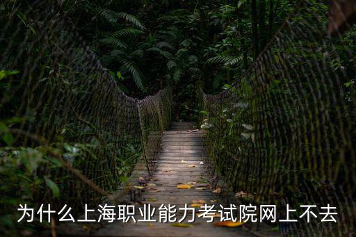 為什么上海職業能力考試院網上不去