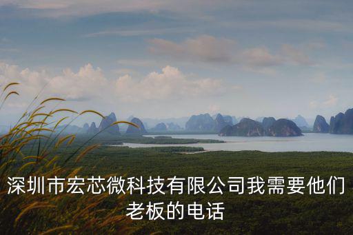 深圳市宏芯微科技有限公司我需要他們老板的電話