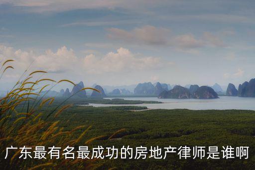 廣東最有名最成功的房地產律師是誰啊