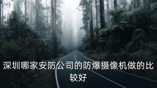 深圳哪家安防公司的防爆攝像機(jī)做的比較好