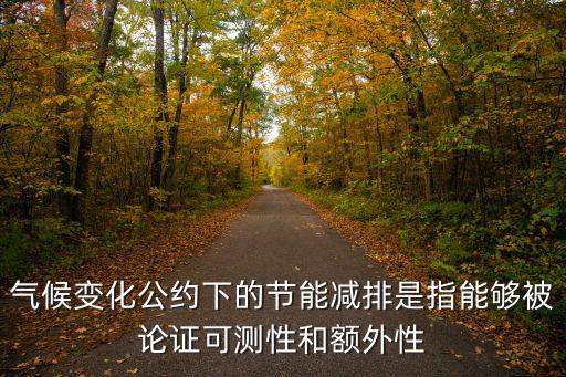 氣候變化公約下的節(jié)能減排是指能夠被論證可測性和額外性