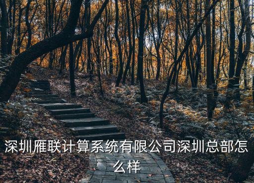 深圳雁聯計算系統有限公司深圳總部怎么樣