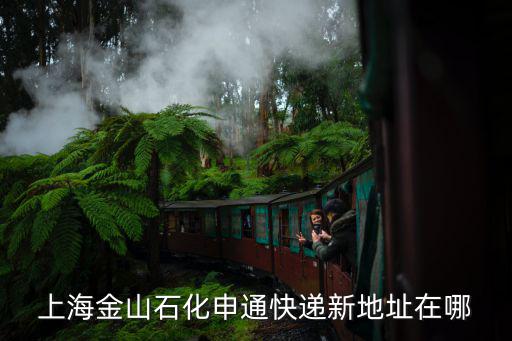 上海市金山區石化隆安路271號，上海金山石化申通快遞新地址在哪
