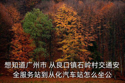想知道廣州市 從良口鎮石嶺村交通安全服務站到從化汽車站怎么坐公