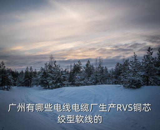 廣州有哪些電線電纜廠生產RVS銅芯絞型軟線的