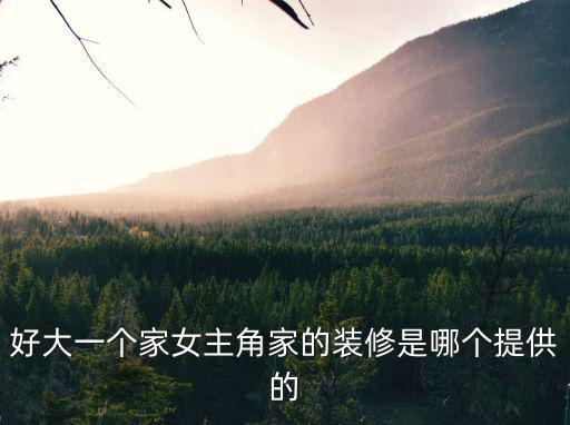 好大一個家女主角家的裝修是哪個提供的