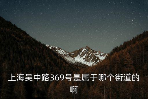 上海吳中路369號是屬于哪個街道的啊