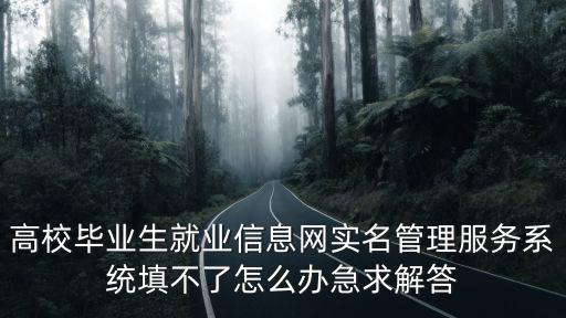 高校畢業生就業信息網實名管理服務系統填不了怎么辦急求解答