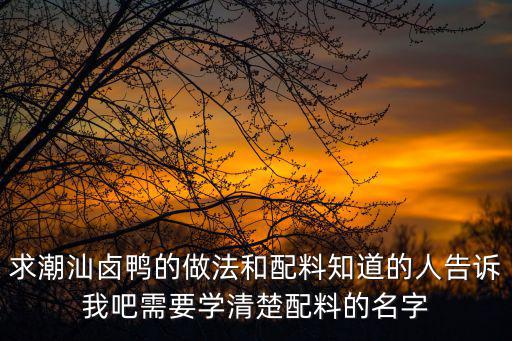 廣州有沒有賣鹵水鵝，請問揭陽那里能買到鹵水謝謝