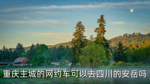 重慶主城的網約車可以去四川的安岳嗎