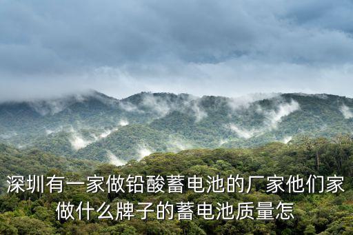 深圳市金寶來電池有限公司，2015年6月17日在深圳爆炸的電池是哪個(gè)廠家的