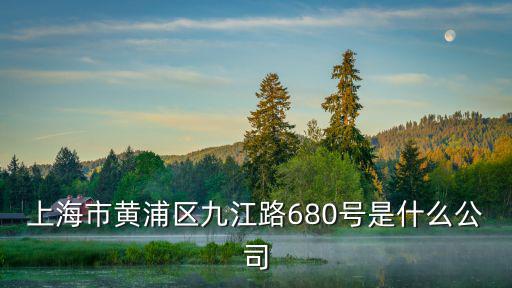 上海市黃浦區(qū)九江路680號是什么公司