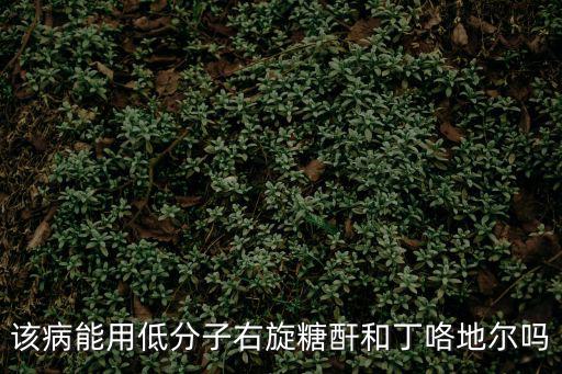 該病能用低分子右旋糖酐和丁咯地爾嗎