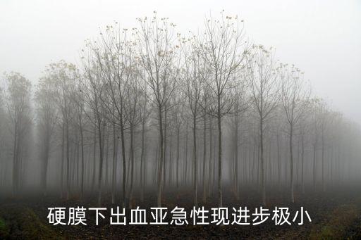 硬膜下出血亞急性現進步極小
