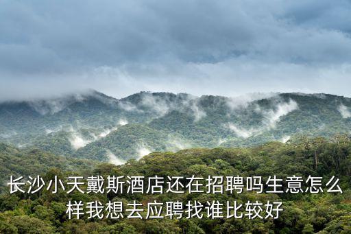 長沙小天戴斯酒店還在招聘嗎生意怎么樣我想去應聘找誰比較好